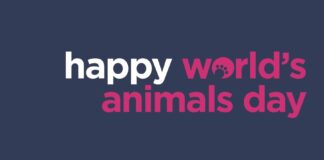 SKY express και PURINA κάνουν το ταξίδι ακόμα πιο ξεχωριστό για τους τετράποδους επιβάτες